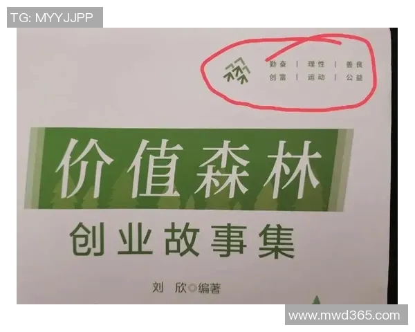 深圳排球队阵地战体系解析与战术创新探讨