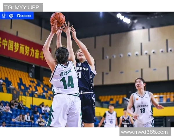 西安篮球队个人能力深度解析与发展潜力探讨