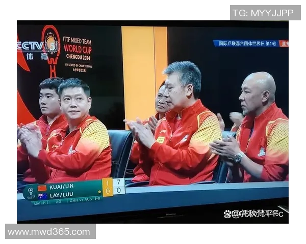 上海乒乓球队的反击策略与深度分析揭秘乒乓球的魅力与挑战
